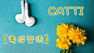 翻譯資格水平考試（CATTI）