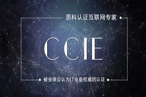 CCIE直通班【包含CCNA+CCNP】+【實戰大禮包】