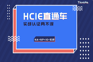 HCIE直通班【包含HCNA+HCNP】+ 【實戰大禮包】